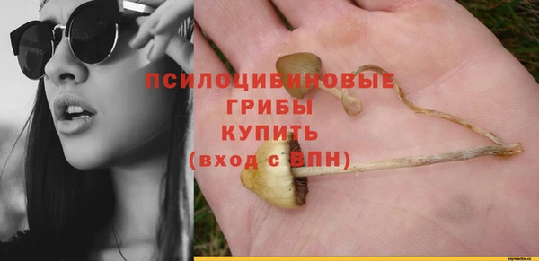 мдпв Наволоки
