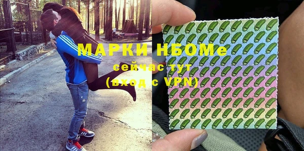 дмт Кадников