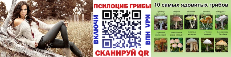 Галлюциногенные грибы Psilocybe Ступино