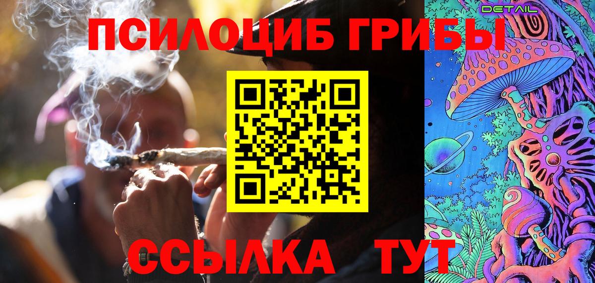 Псилоцибиновые грибы Psilocybine cubensis Ступино