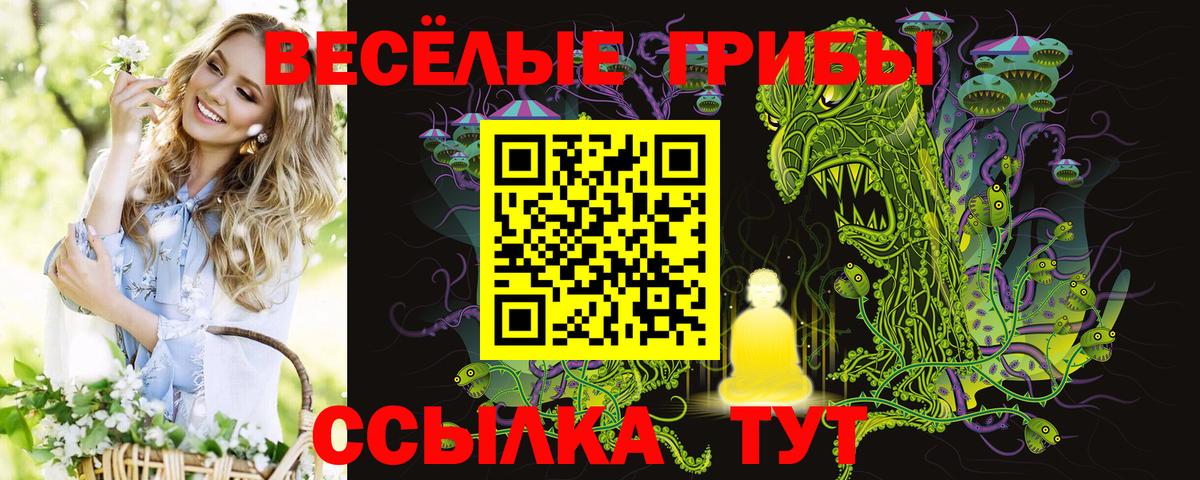 Псилоцибиновые грибы мицелий  где можно купить наркотик  Ступино 