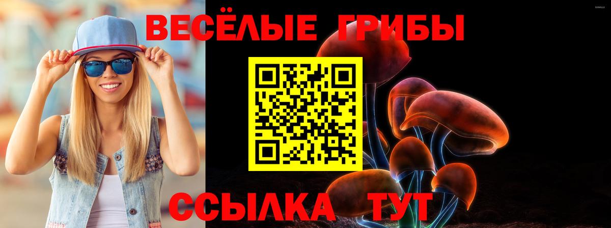 Псилоцибиновые грибы Cubensis  Вход с VPN  Ступино 